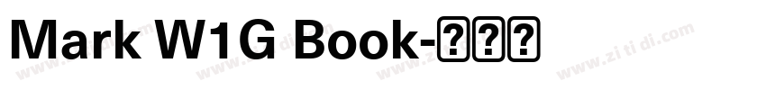 Mark W1G Book字体转换